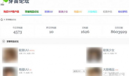 成人网站视频,激情与禁忌的交织