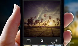 javhd视频,深度解析热门影视作品背后的故事与魅力