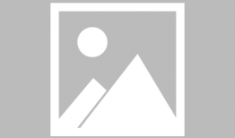 受孕岛动漫,探寻生命起源的奇幻旅程