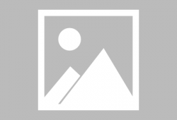 屠宰场杀猪视频,震撼人心的真实画面